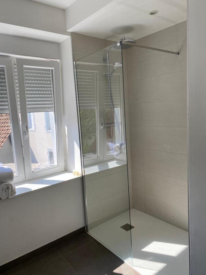 קולמר Les Appartements De La Gare מראה חיצוני תמונה